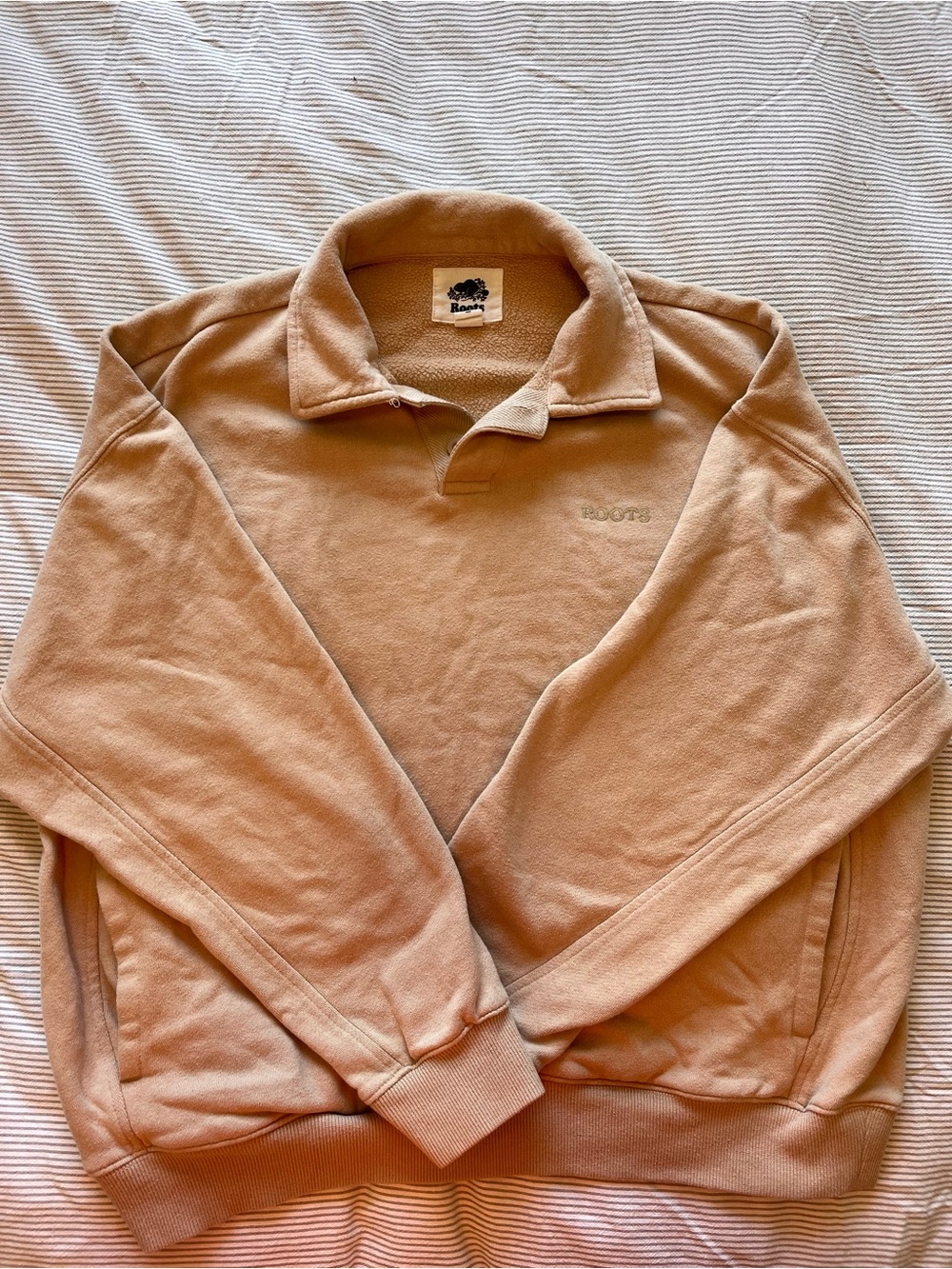 Roots Collared Sweatshirt